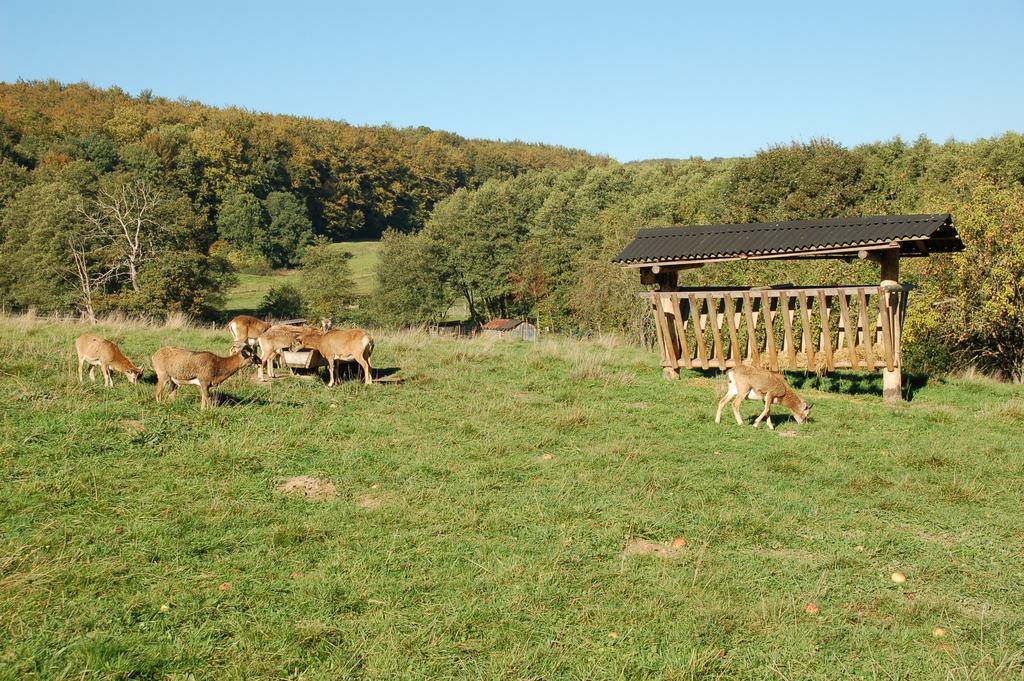 Wohlfuehlhotel Der Jaegerhof 빌레바데센 외부 사진